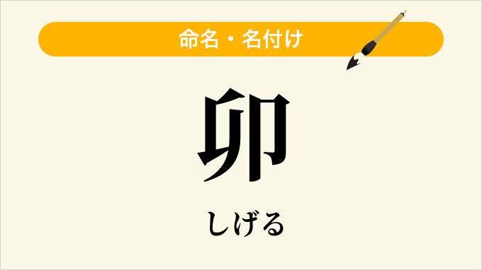 卯