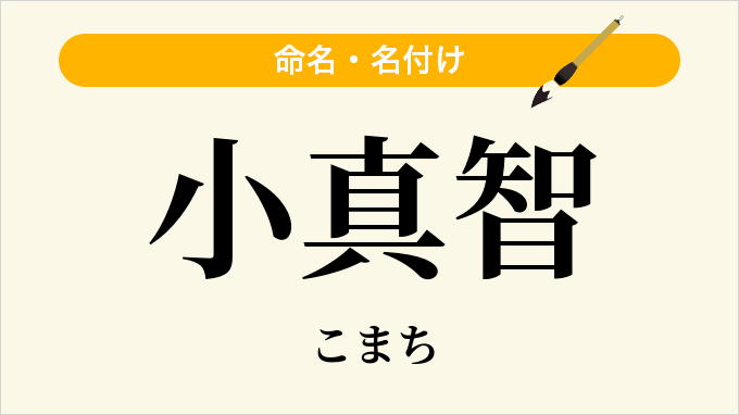 小真智