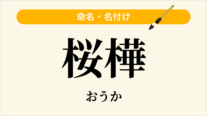 桜樺
