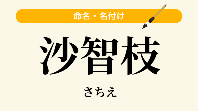沙智枝
