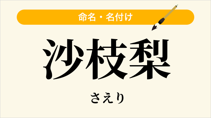 沙枝梨