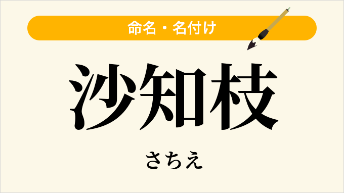 沙知枝