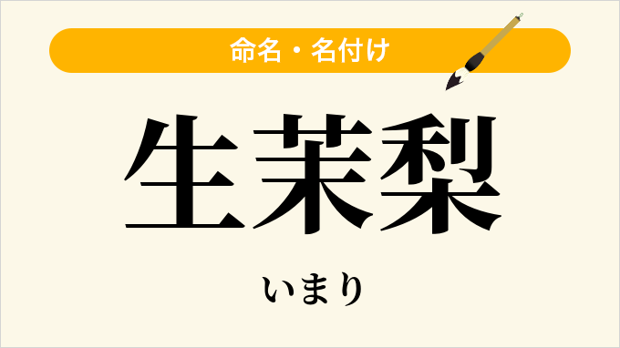 生茉梨