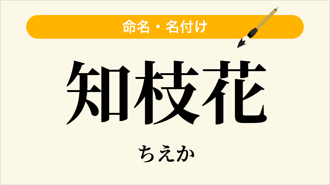 知枝花
