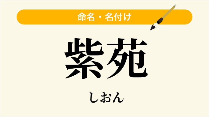 紫苑