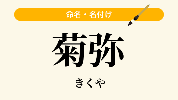 菊弥
