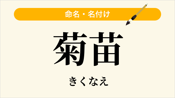 菊苗