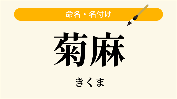 菊麻
