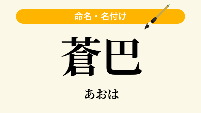 蒼巴