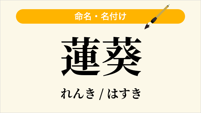 蓮葵