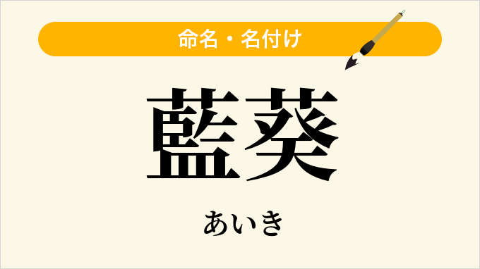 藍葵