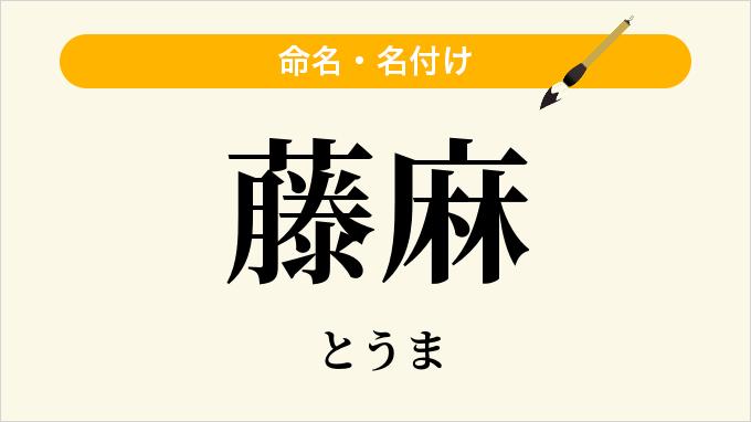 藤麻